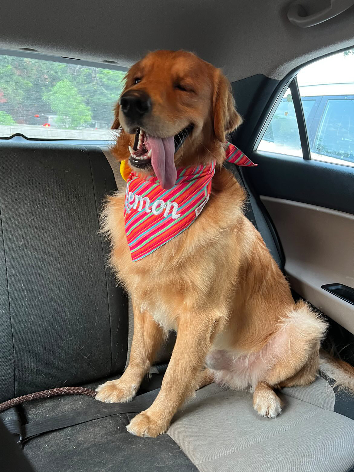 Pride Customised name bandana