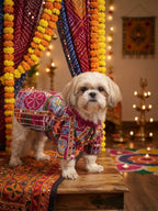 Rang Utsav Kurta