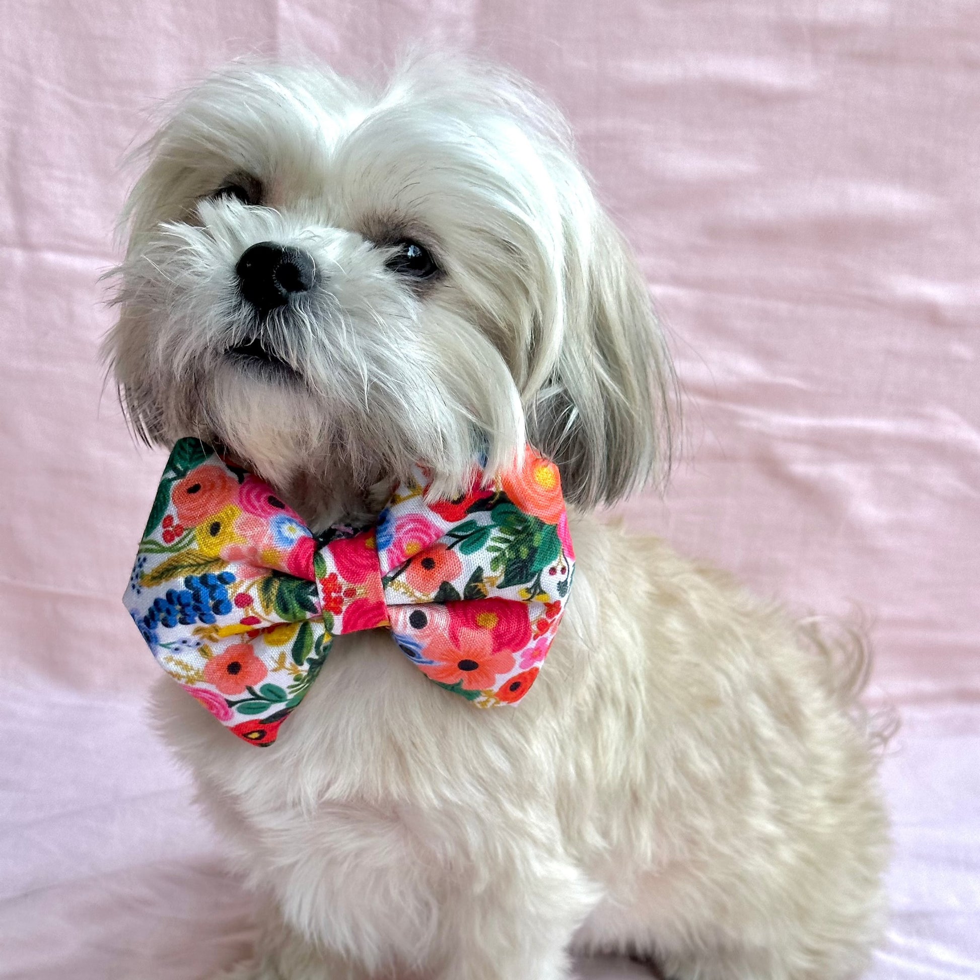 Dog Bow / Dog Accessories - Furrvanity