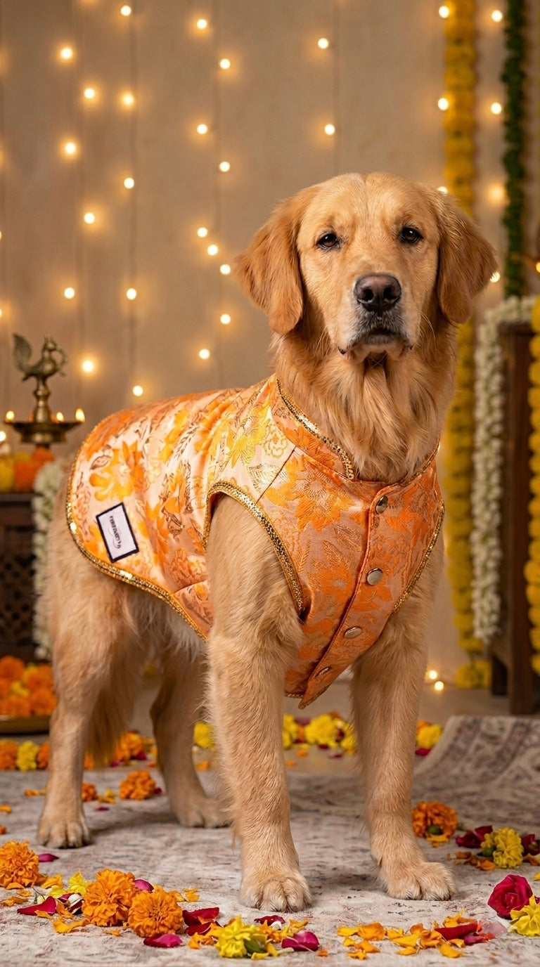 Pastel Orange brocade bandhgala