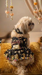 Shahi noir lehenga