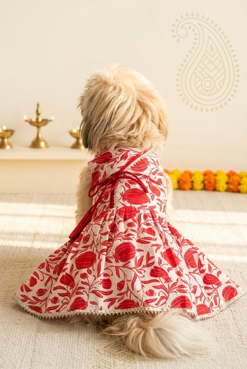 Taamara agrakha dress