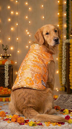 Pastel Orange brocade bandhgala