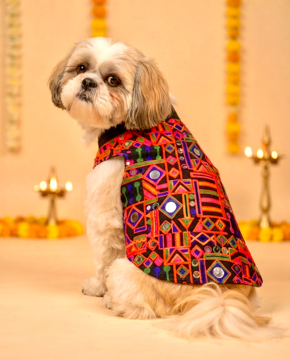 Rang Riwaaz Jacket