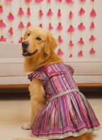 Gulabi fusion anarkali