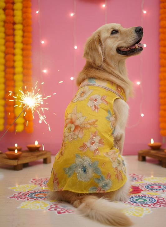 Rangrez kurta