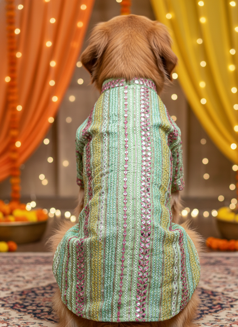 Green multi thread work sherwani