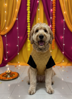 Golden bandhgala with black silk kurta