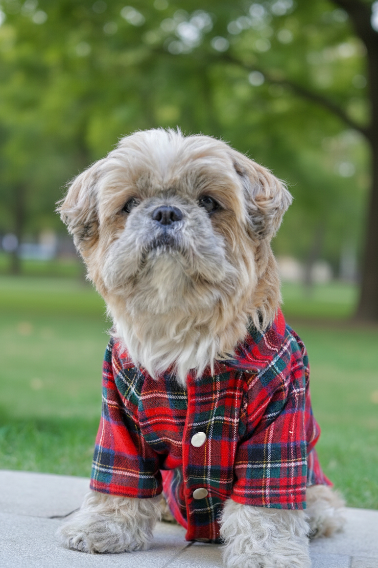 Merry plaid double layered shirt