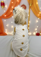 Kasavu Kurta Cutsleeves