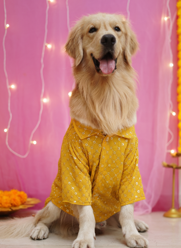 Sunehri yellow Kurta