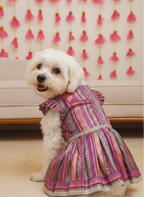 Gulabi fusion anarkali