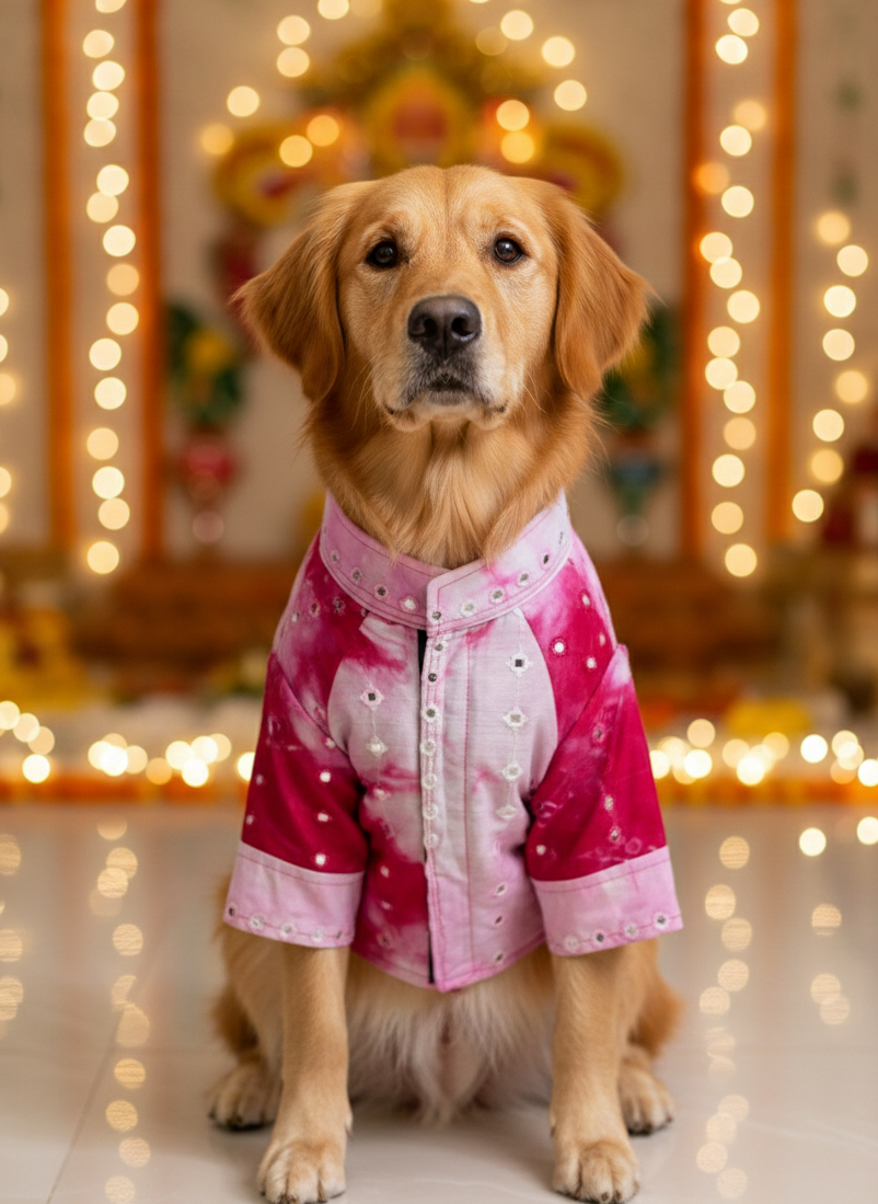 Pink mirror chanderi kurta