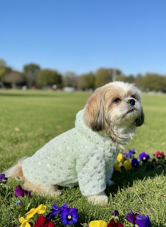 Mint fur hoodie