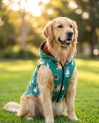 Green Critter Hooded Jacket