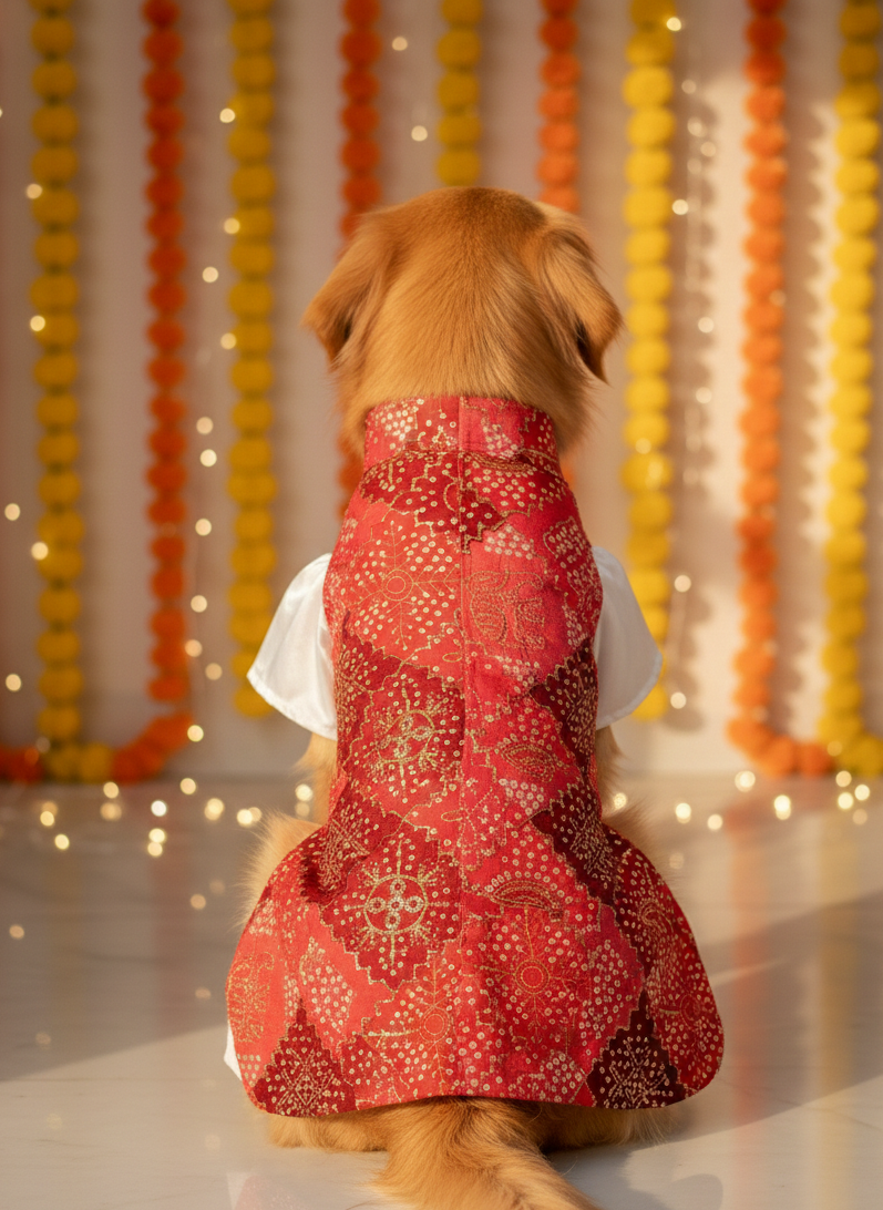 Silk kurta with Red Bandhani bandhgala