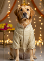 Kota dori golden kurta