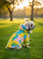 The Fluff-Puff Hoodie