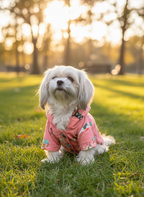 Sledge double layered hoodie