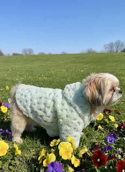 Mint fur hoodie