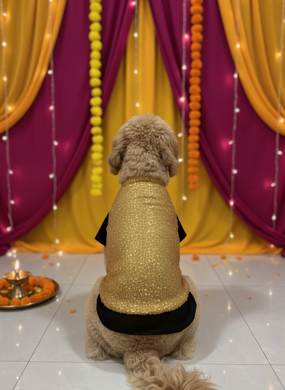 Golden bandhgala with black silk kurta
