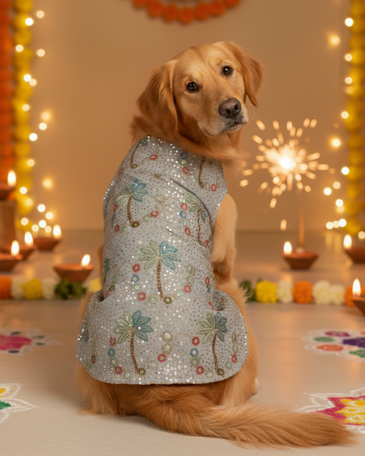 Chandni bandhgala