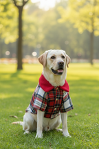 Red plaid fleece coat