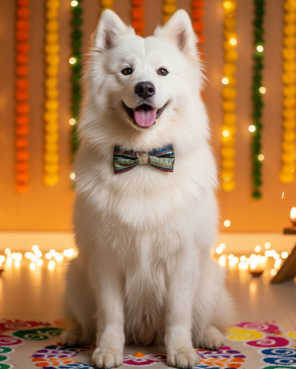Jashn festive bow