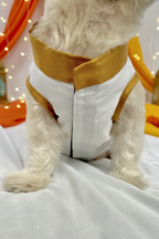 Kasavu Kurta Cutsleeves