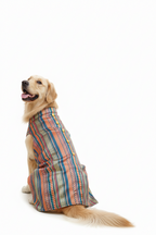 Blue brocade bandhgala