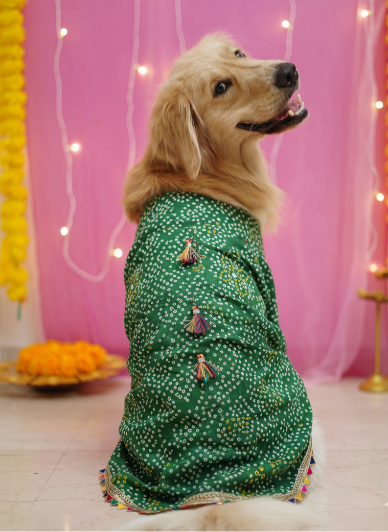 Green bandhani kurta