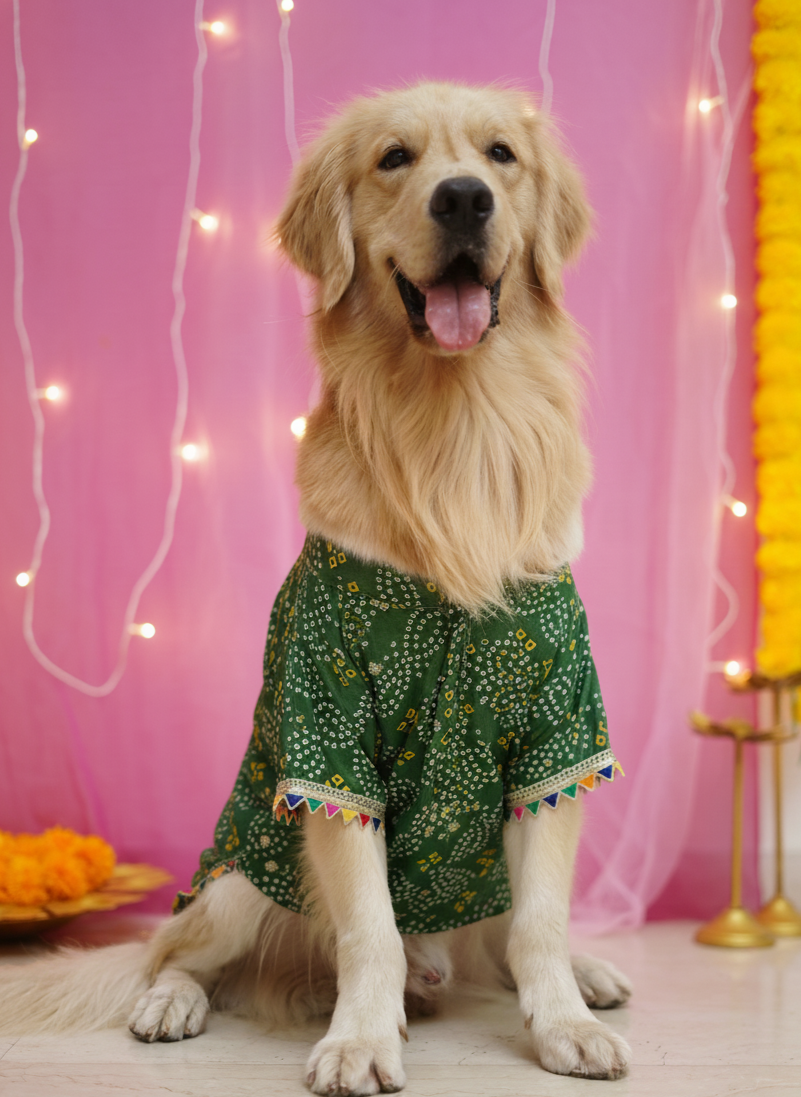 Green bandhani kurta