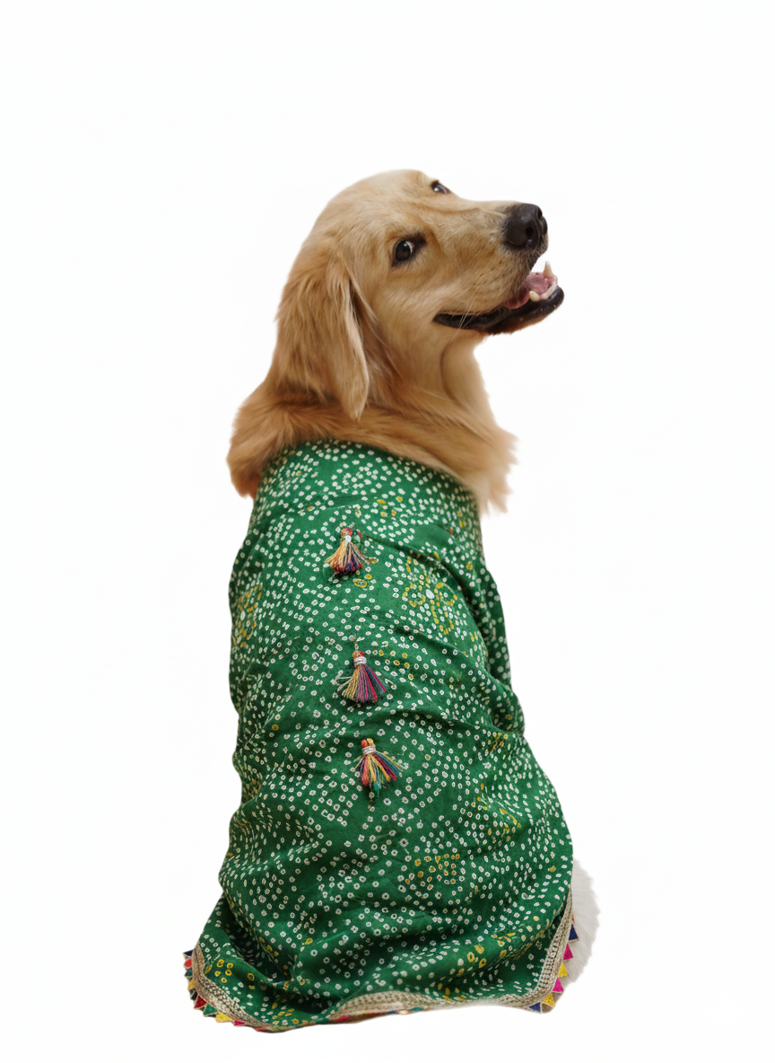 Green bandhani kurta