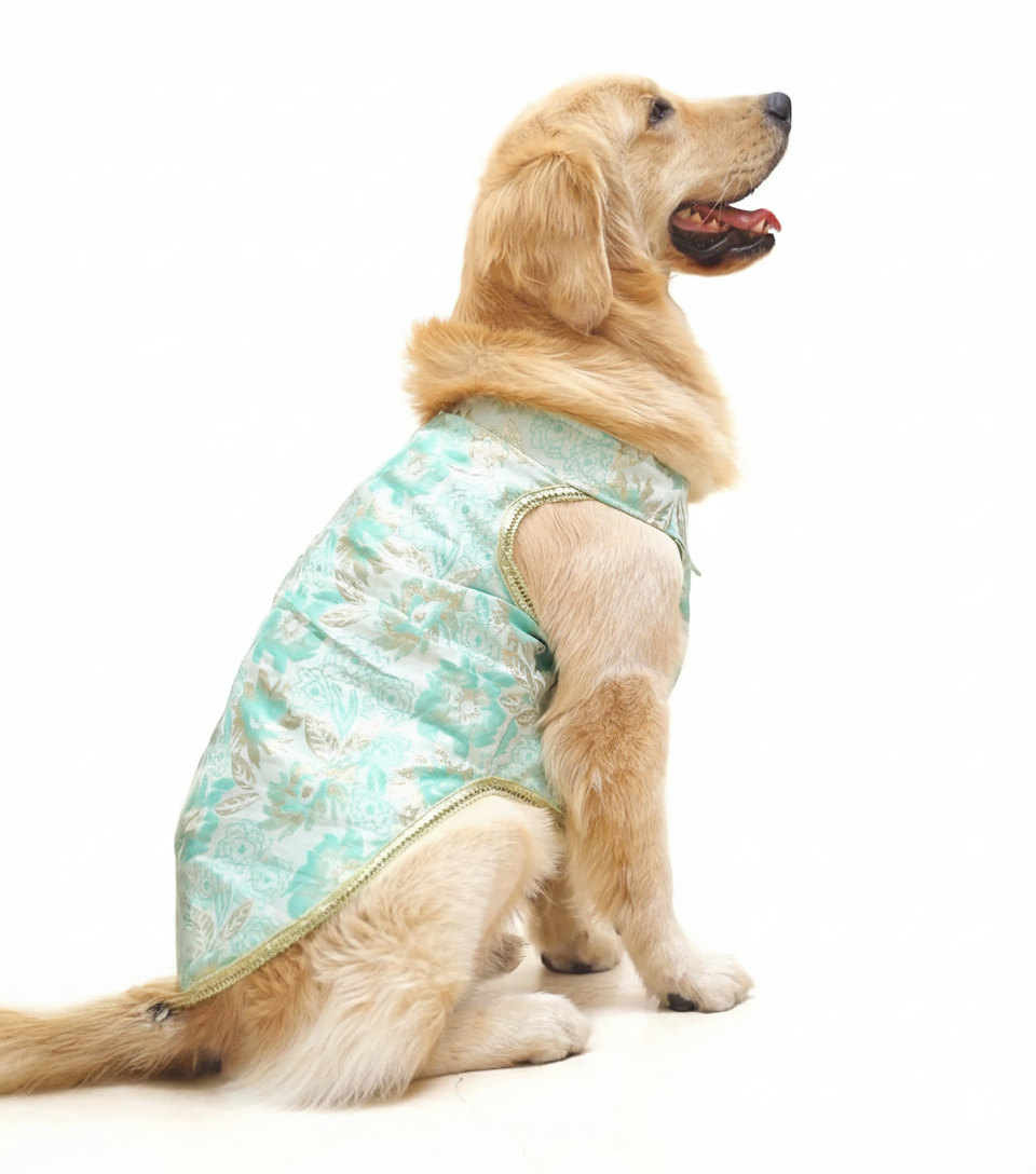 Green brocade bandhgala