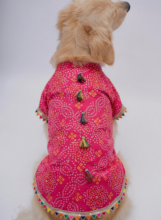 Pink bandhani kurta