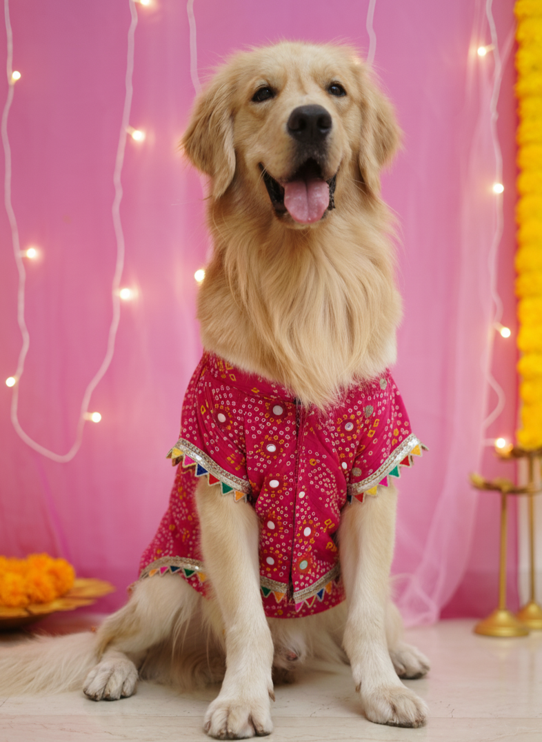 Pink bandhani kurta