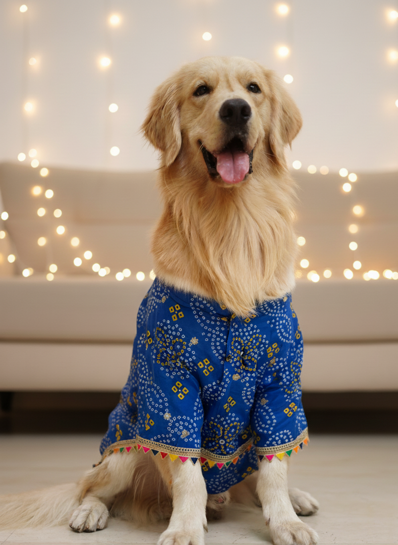 Blue bandhani kurta