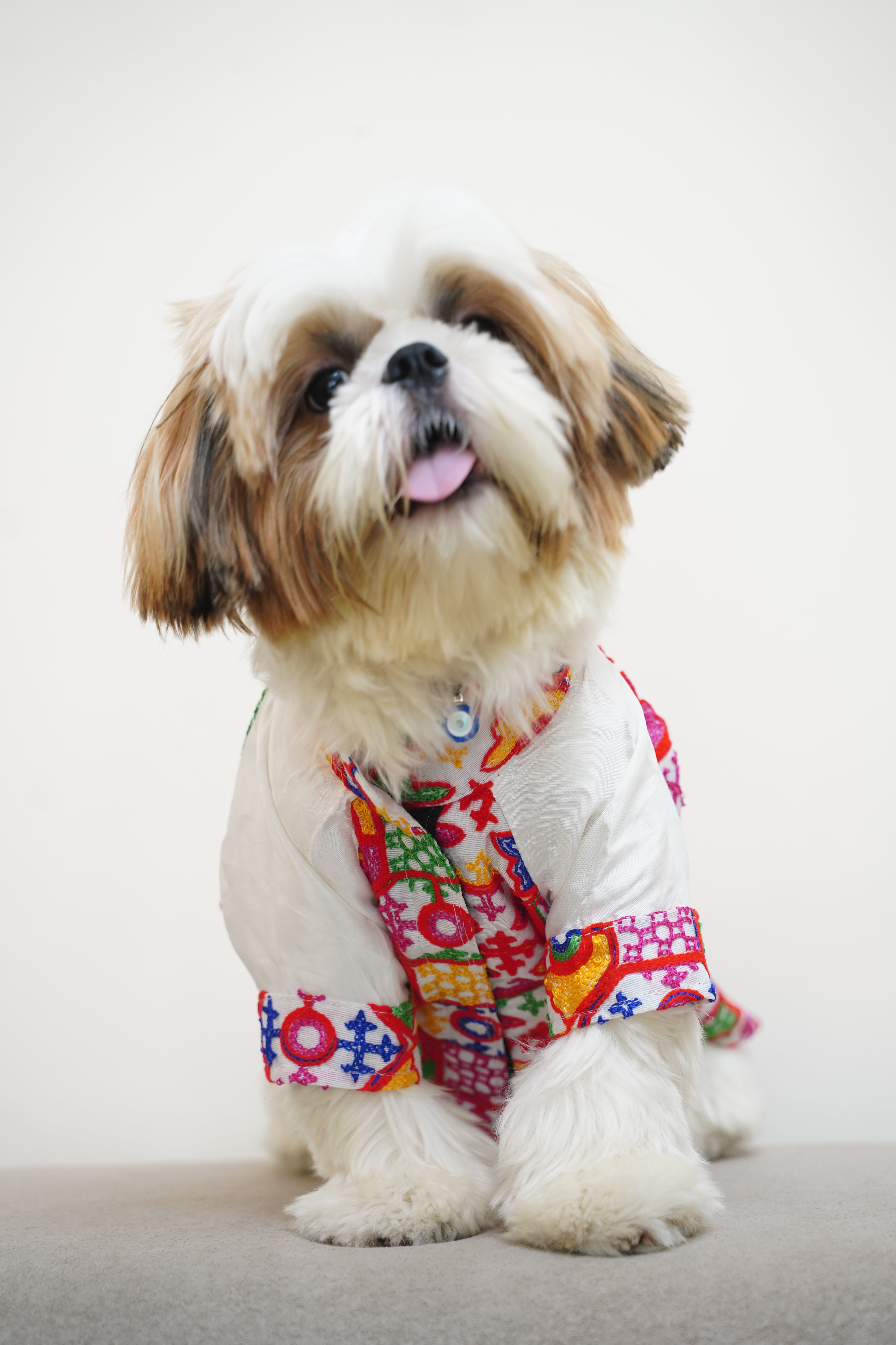 Gujarati White bandhgala