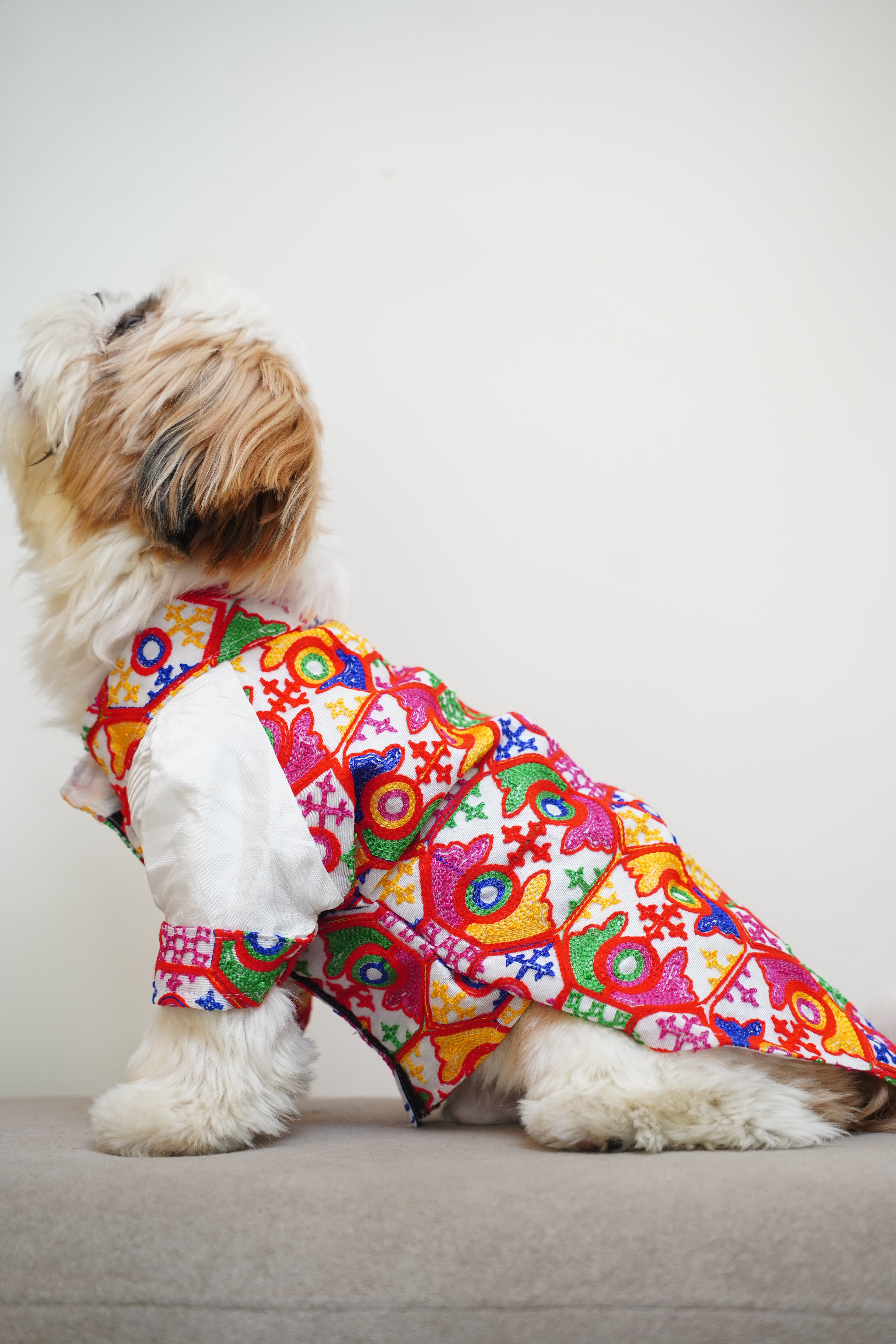 Gujarati White bandhgala