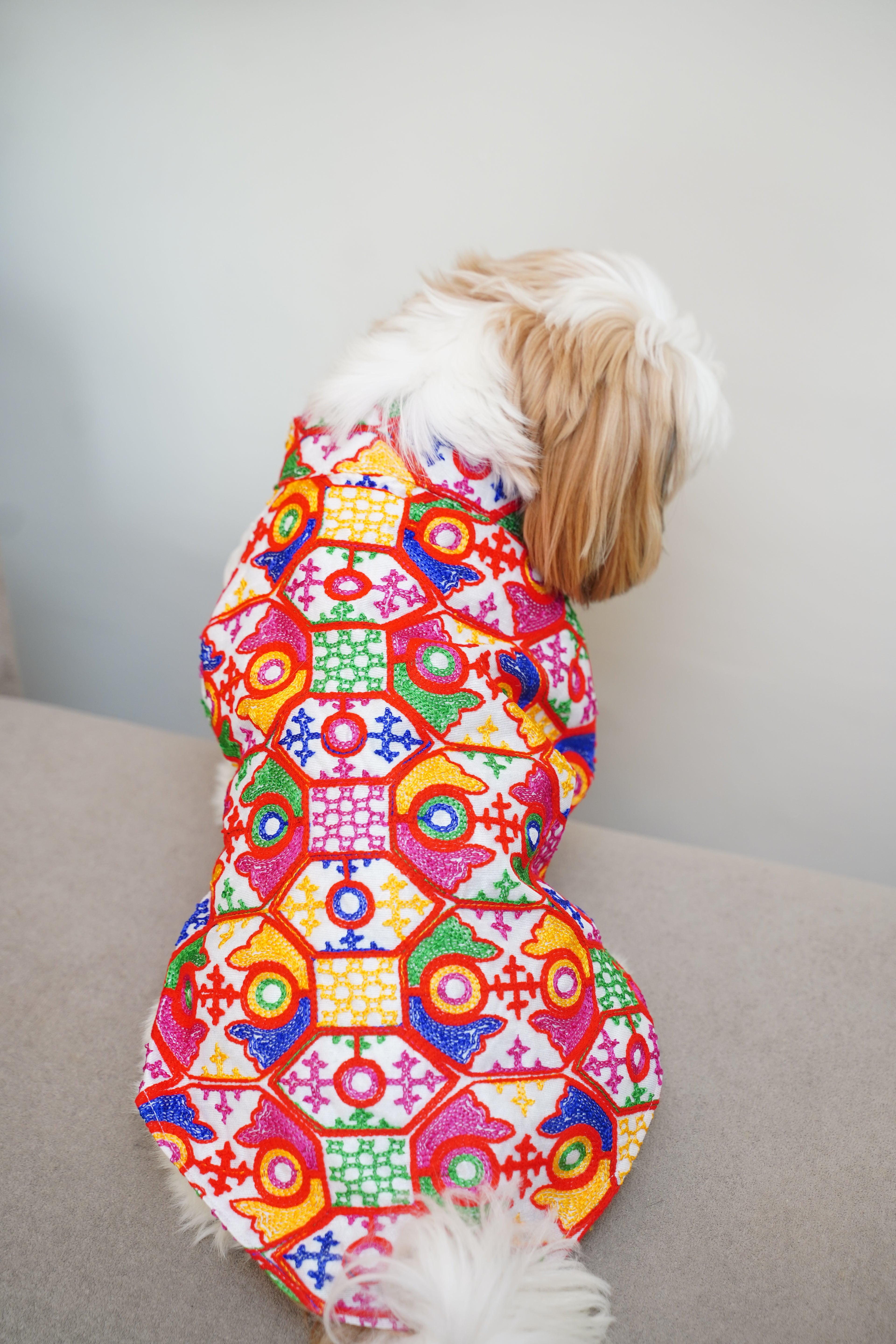 Gujarati White bandhgala