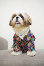 Patola Rangeen sherwani