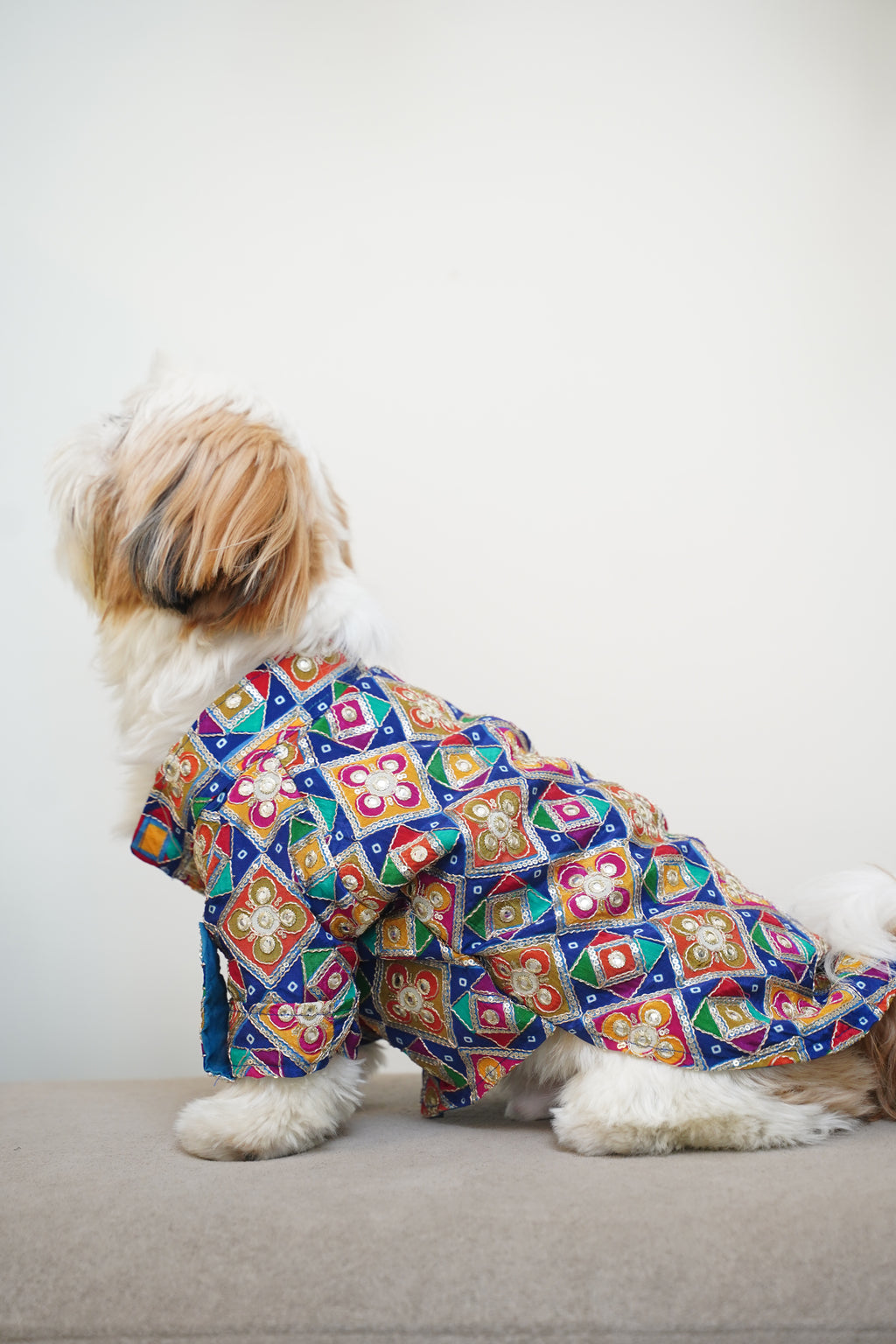 Patola Rangeen sherwani