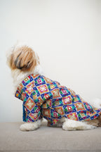 Patola Rangeen sherwani