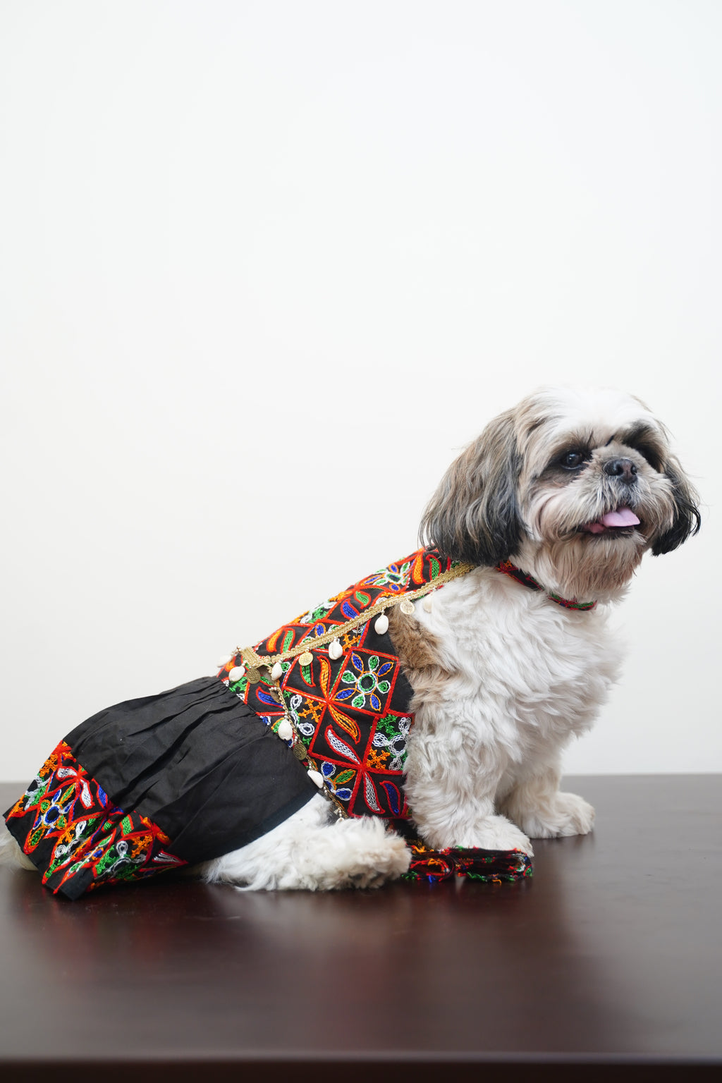 Gujarati chaniya choli