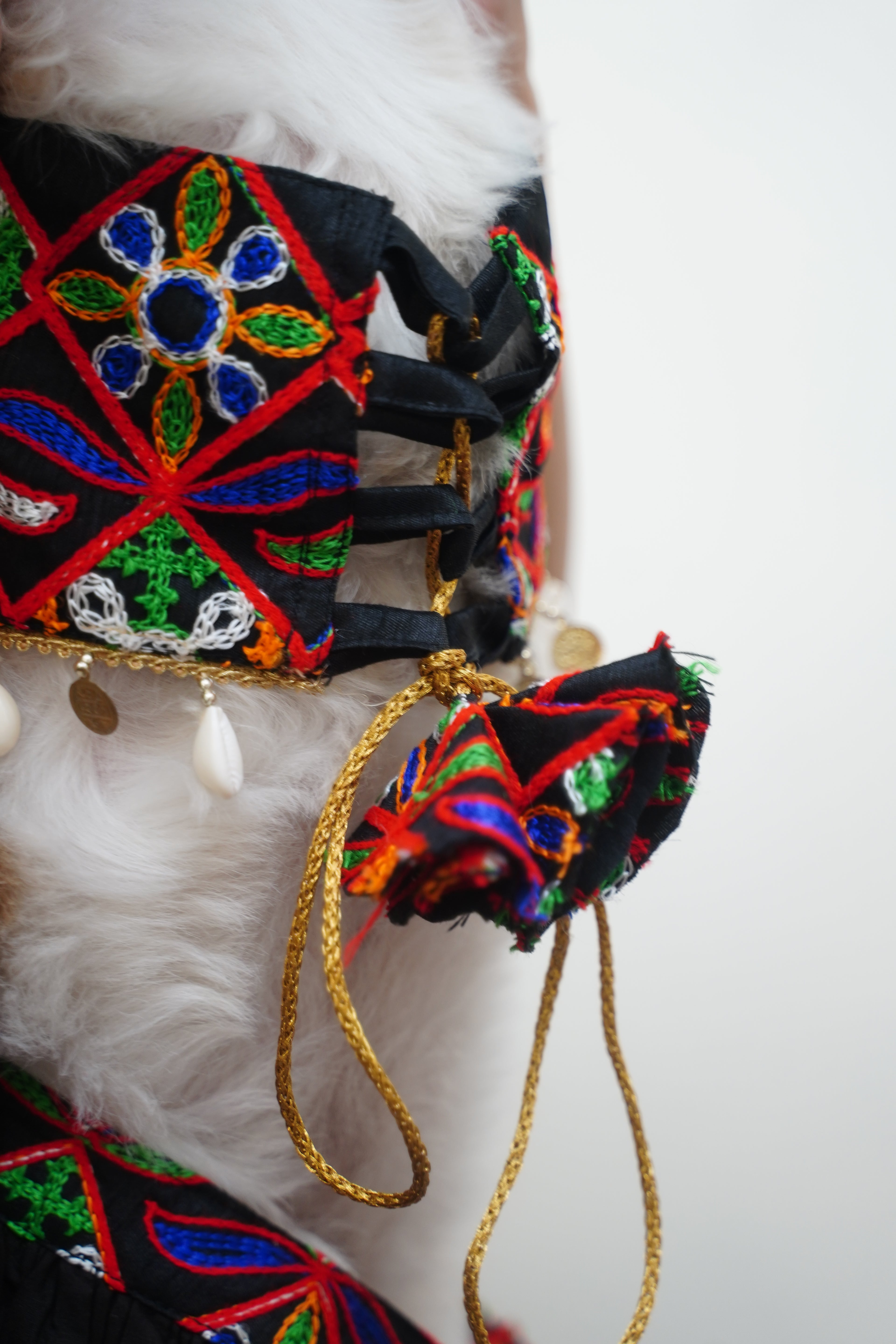 Gujarati chaniya choli