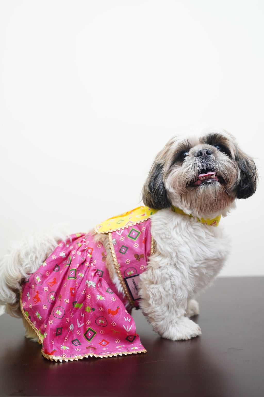 Patola navratri lehenga