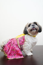 Patola navratri lehenga