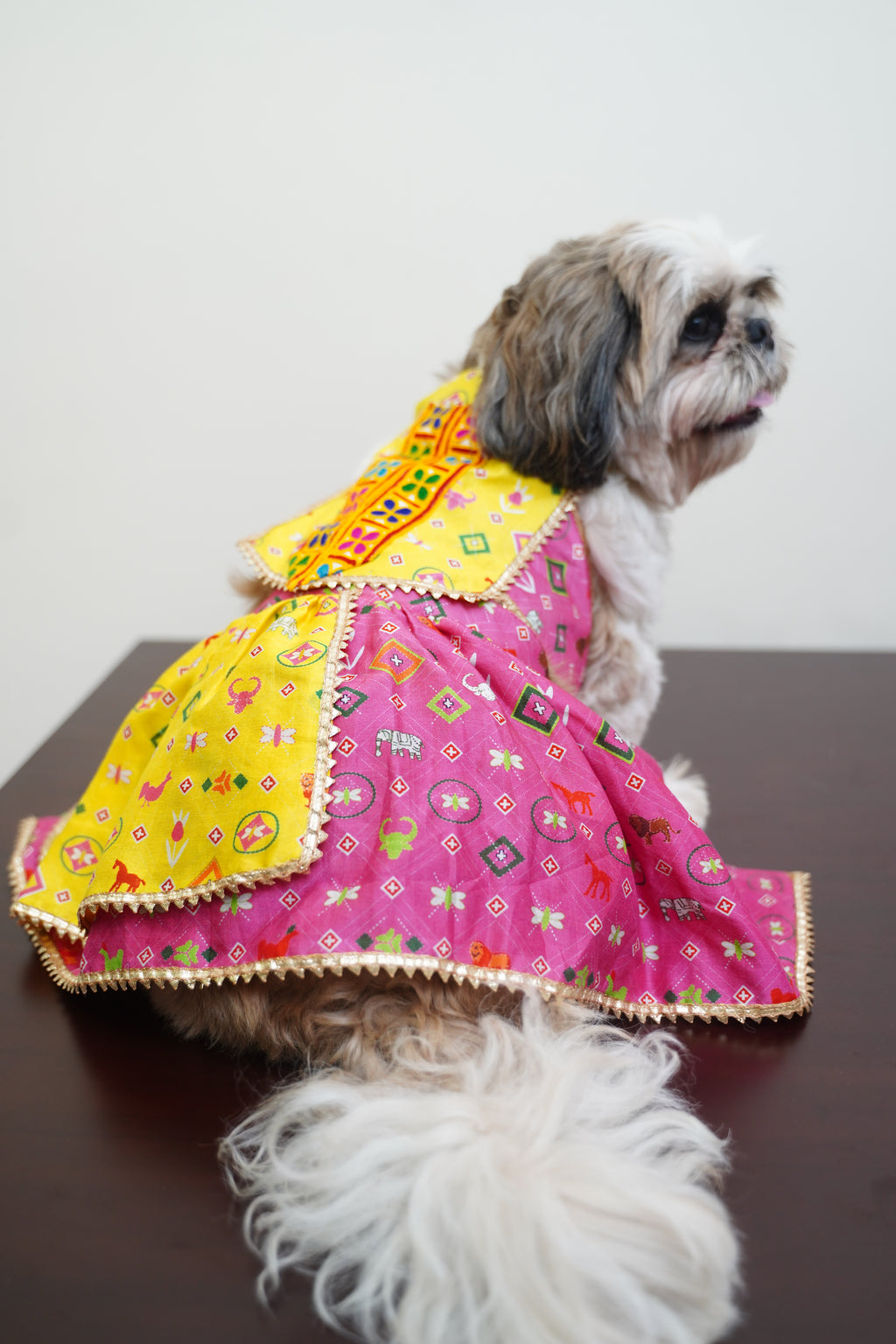 Patola navratri lehenga
