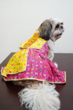 Patola navratri lehenga