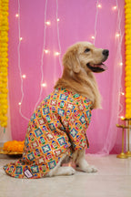 Patola Yellow Rangeen sherwani